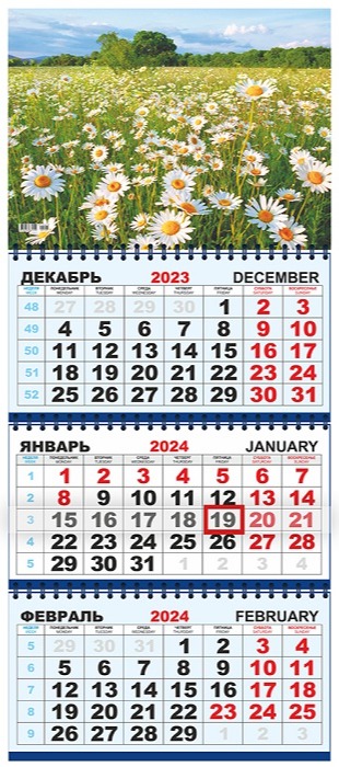 поле с прекрасными ромашками на календаре 2024